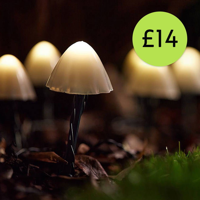 Link to Mushroom solar lights