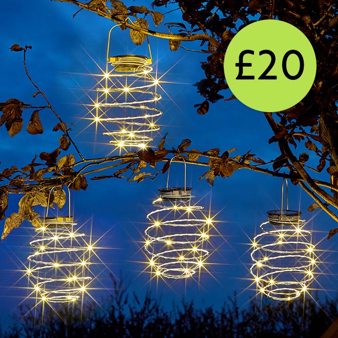 Link to Beehive solar lights