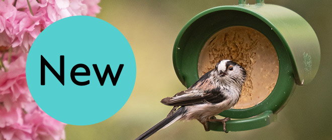 Link to Flutter Butter category