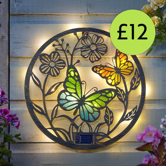 Link to Butterfly solar light decor disc