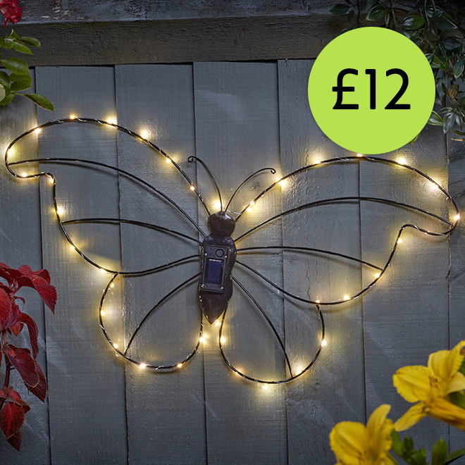 Link to Butterfly solar light