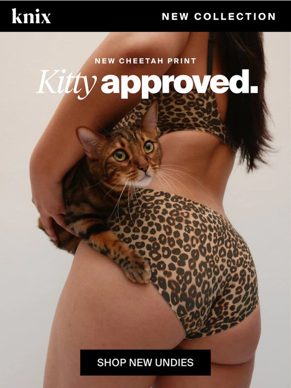 NEW: Your kitty's best friend