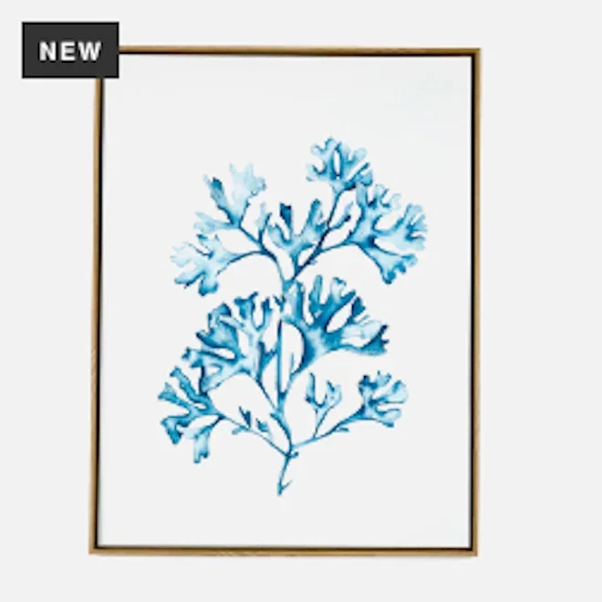 Humble & Mash Framed Portrait Staghorn Coral Canvas Wall Art, 80cm x 60cm