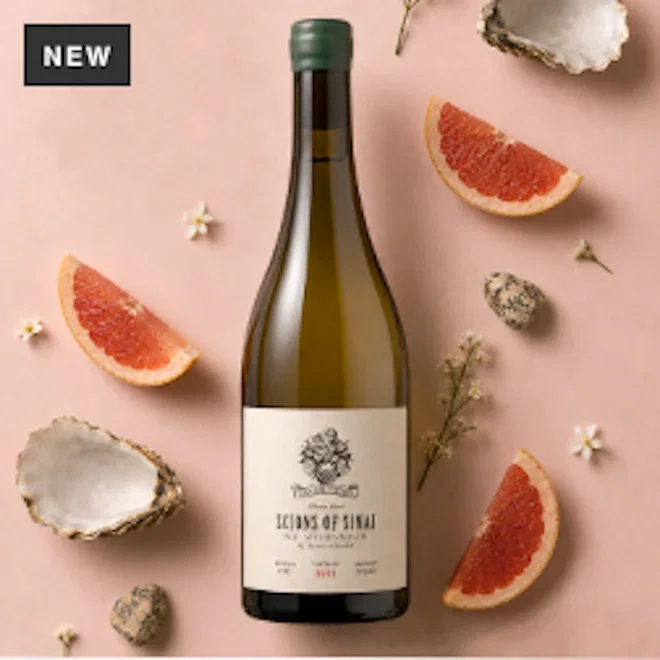 Scions of Sinai Granietsteen Chenin 2025, 750ml