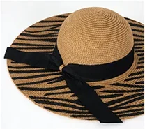 Stylish Wide Brim Hat