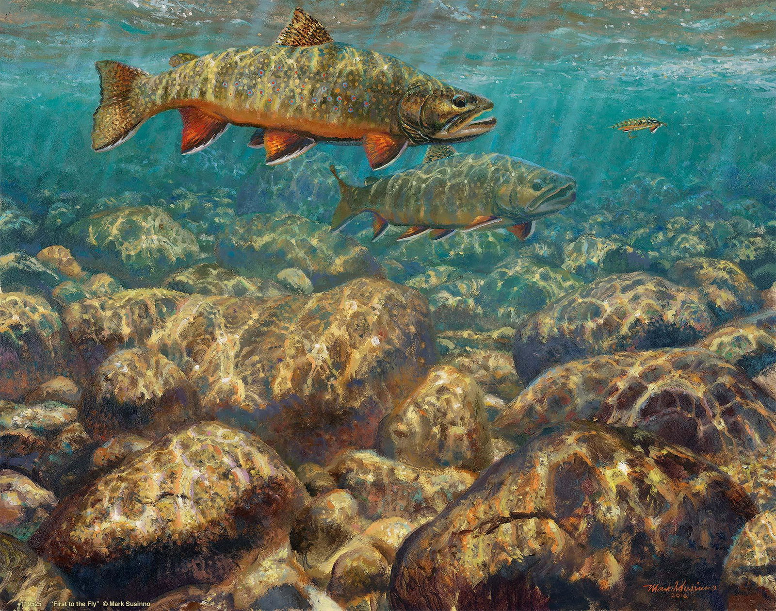 Image of First to the Fly - Brook Trout - Art Prints