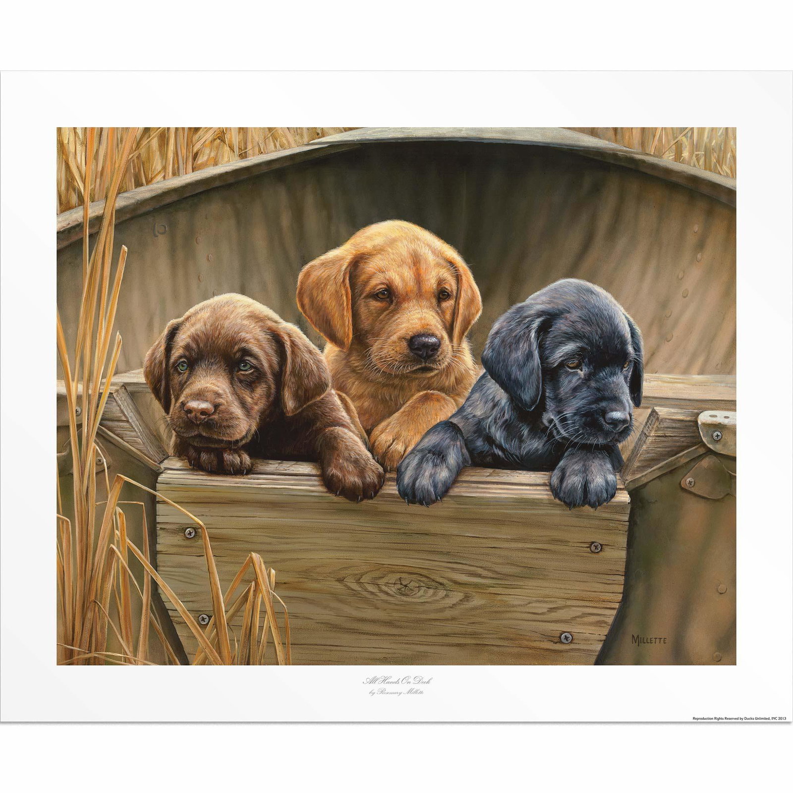 Image of All Hands on Deck - Three Puppies - Artist Proof Paper Print
