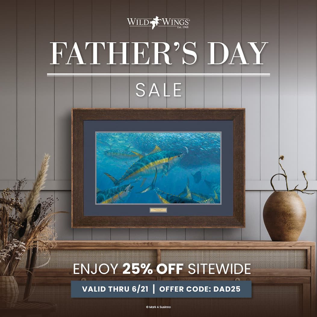 Father's Day Sale