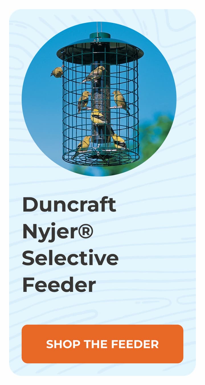Duncraft Nyjer® Selective Feeder
