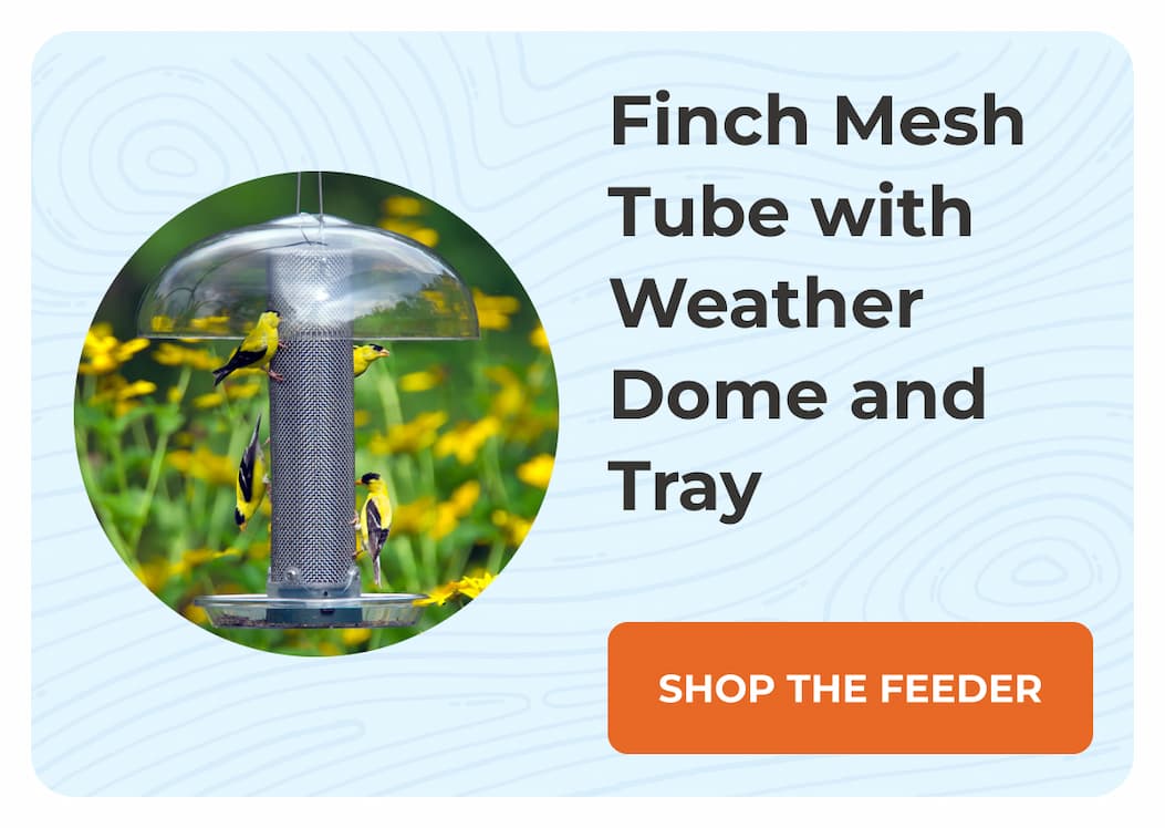 Finch Mesh Tube with Weather Dome and Tray