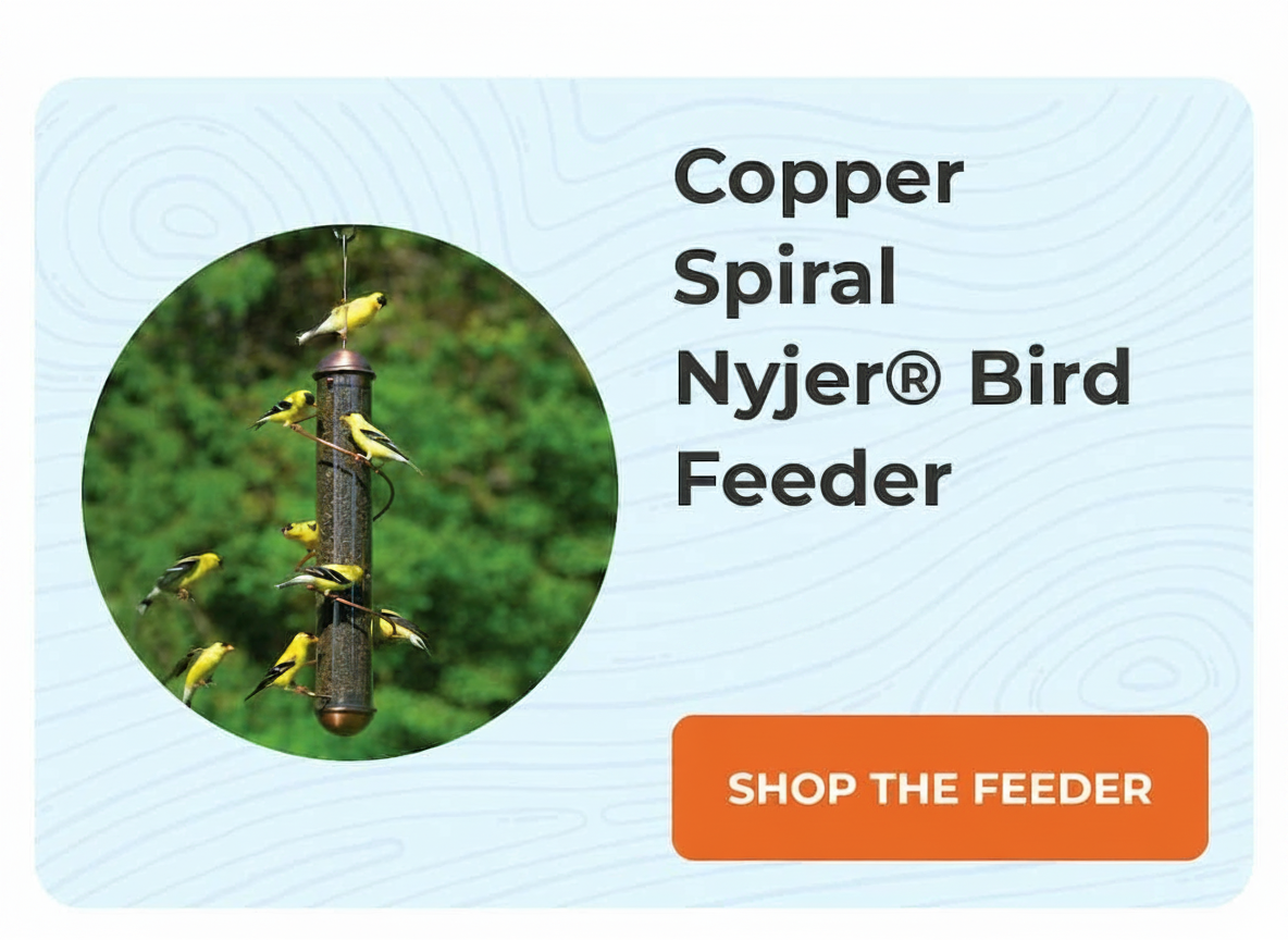 Copper Spiral Nyjer Bird Feeder with goldfinches, and a "Shop the Feeder" button.