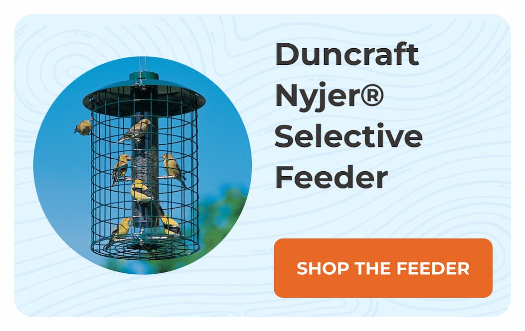 Duncraft Nyjer® Selective Feeder