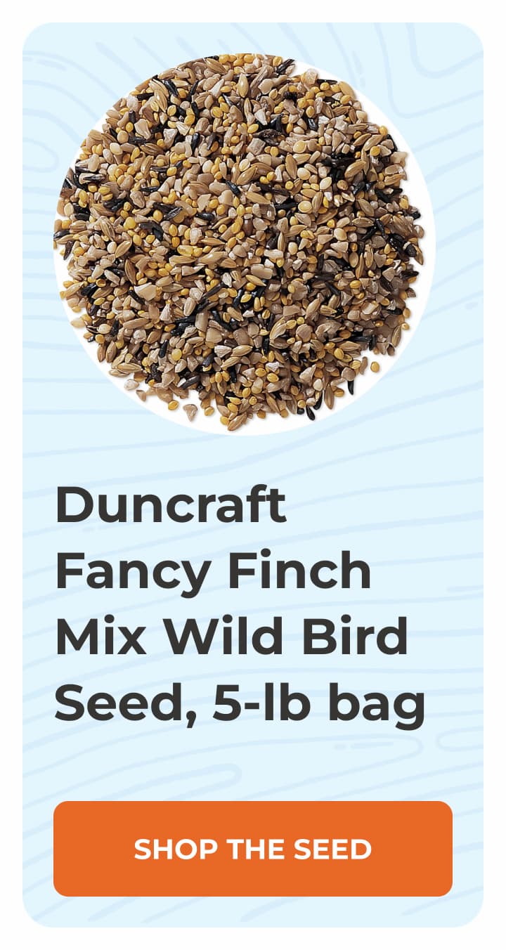 Duncraft Fancy Finch Mix Wild Bird Seed, 5-lb bag