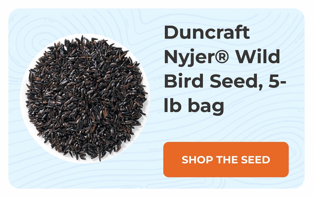 Duncraft Nyjer® Wild Bird Seed, 5-lb bag