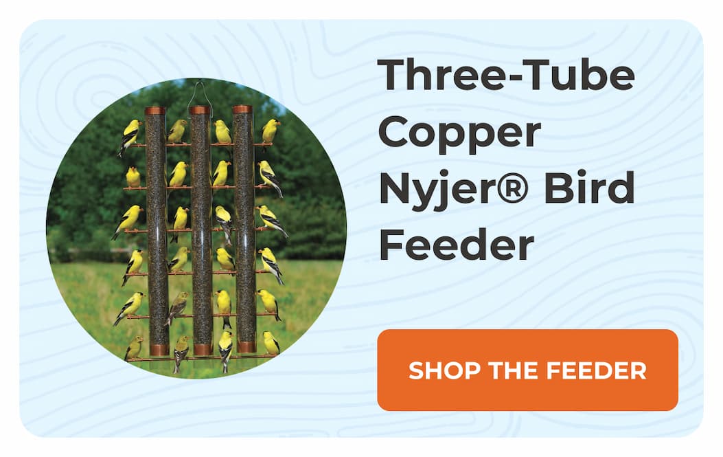 Three-Tube Copper Nyjer® Bird Feeder