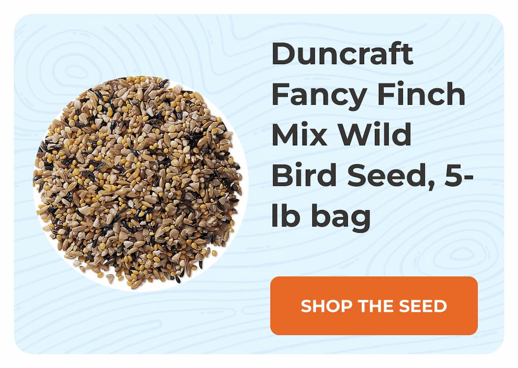 Duncraft Fancy Finch Mix Wild Bird Seed, 5-lb bag