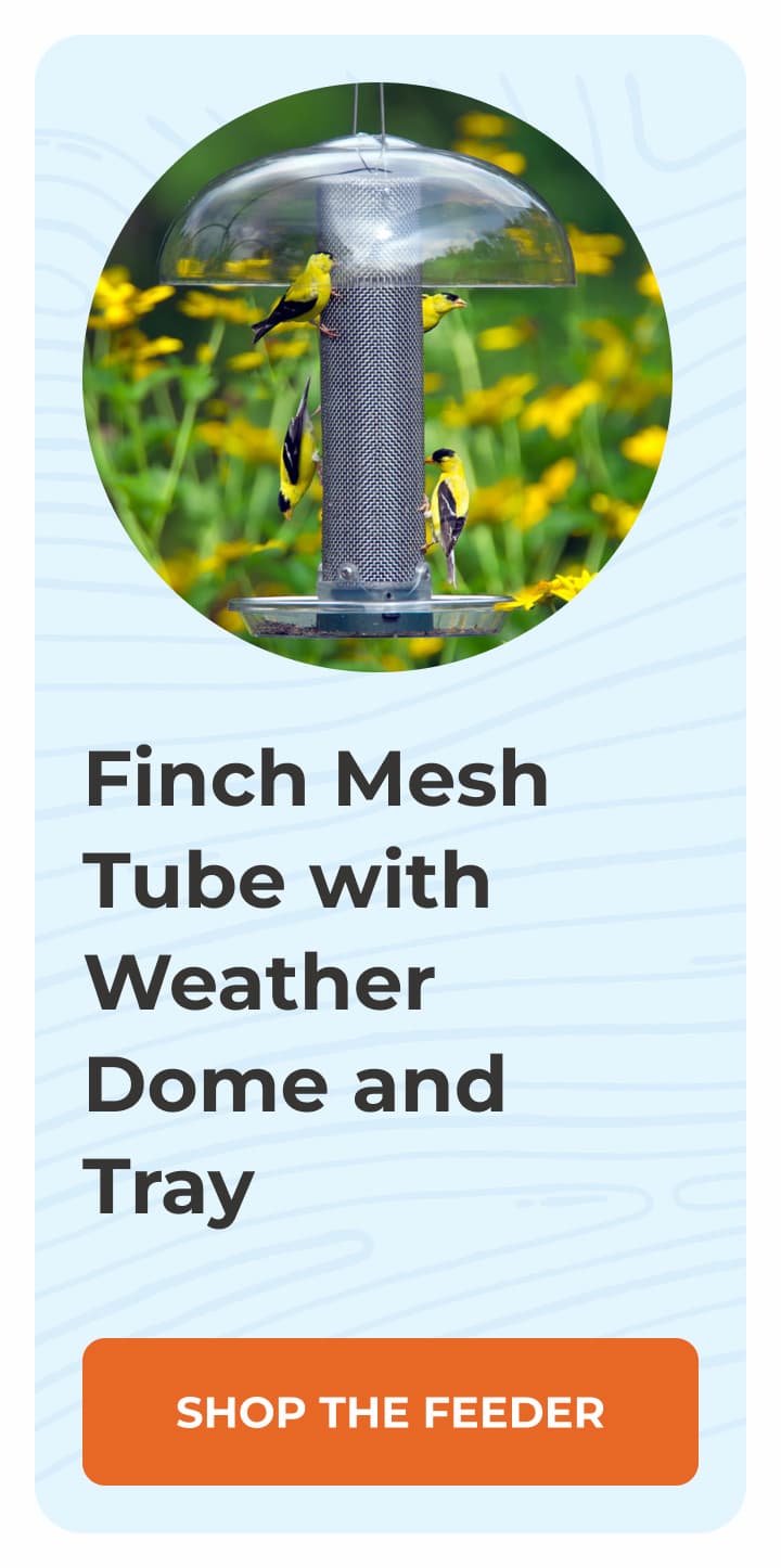 Finch Mesh Tube with Weather Dome and Tray