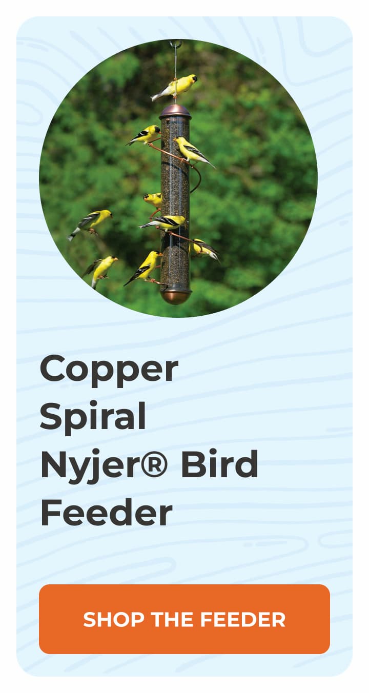 Copper Spiral Nyjer® Bird Feeder