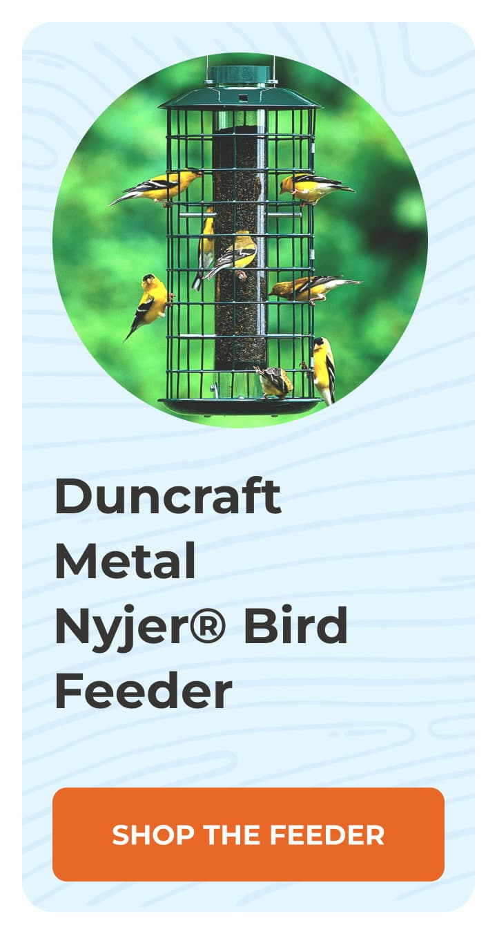 Duncraft Metal Nyjer® Bird Feeder
