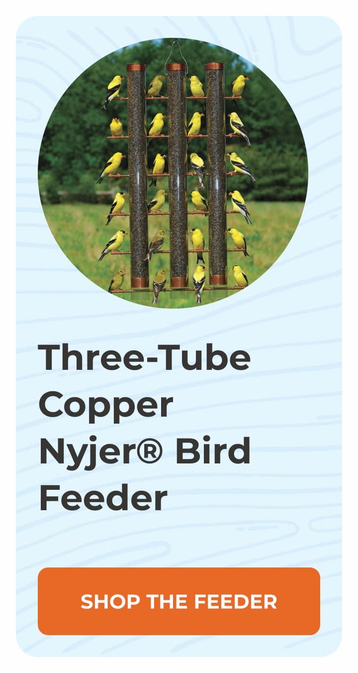 Three-Tube Copper Nyjer® Bird Feeder