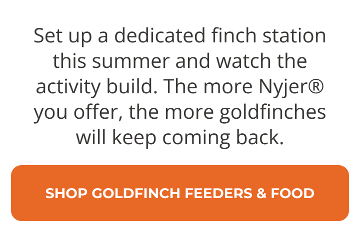 SEE ALL GOLDFINCH FEEDERS & FOOD