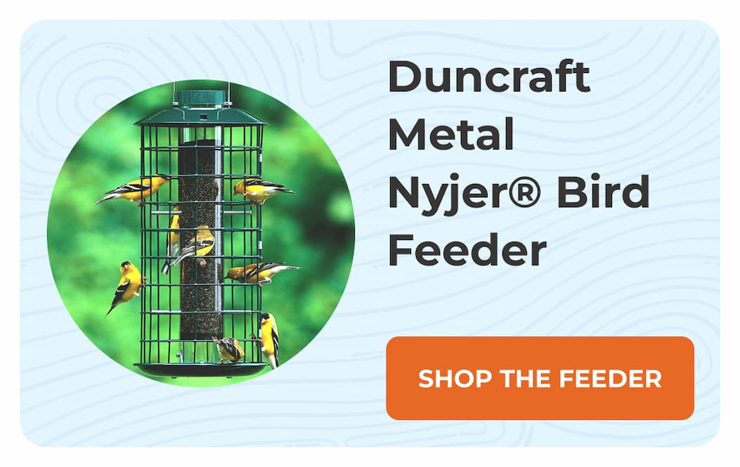 Duncraft Metal Nyjer® Bird Feeder