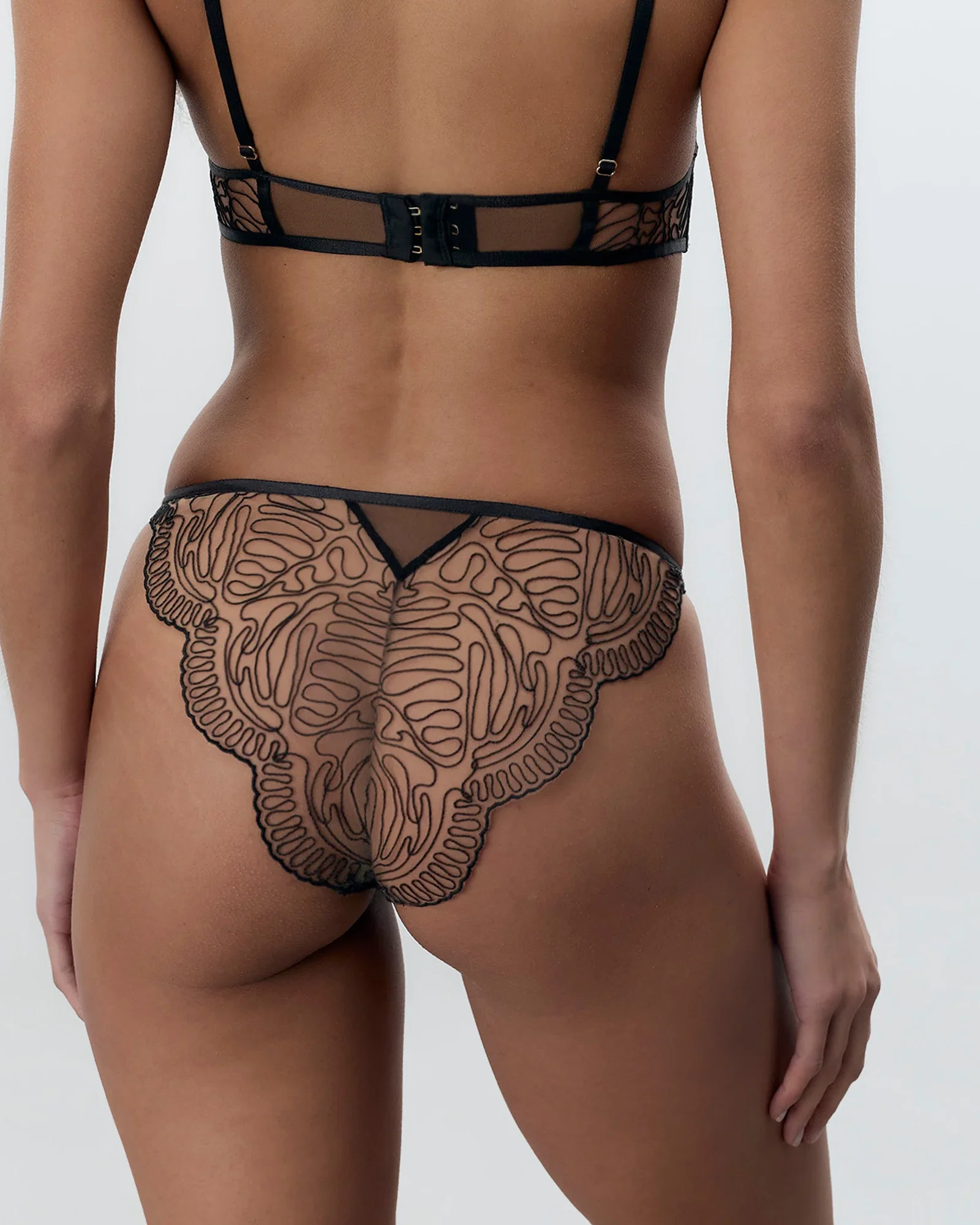 Image of Leliana Sheer Panty Black