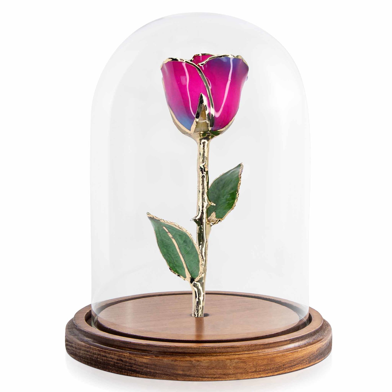 Image of Custom Enchanted Rose w/ 24K Gold Nebula