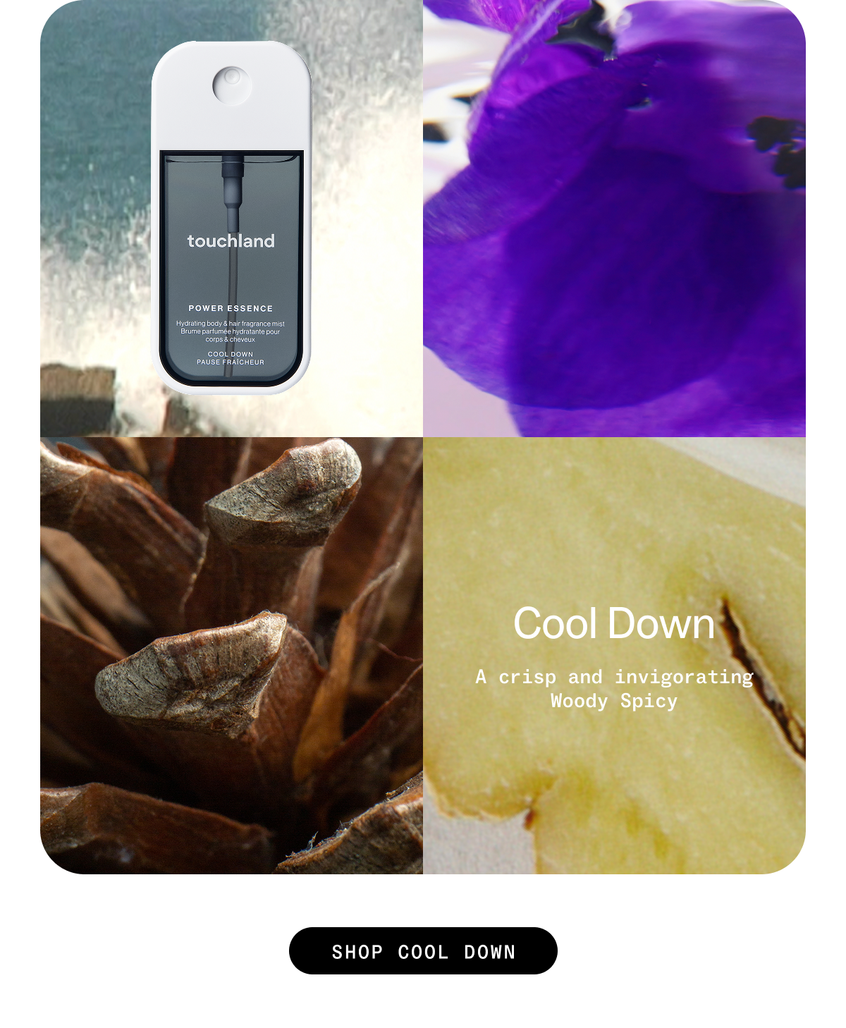 Cool Down: A crisp and invigorating Woody Spicy SHOP COOL DOWN