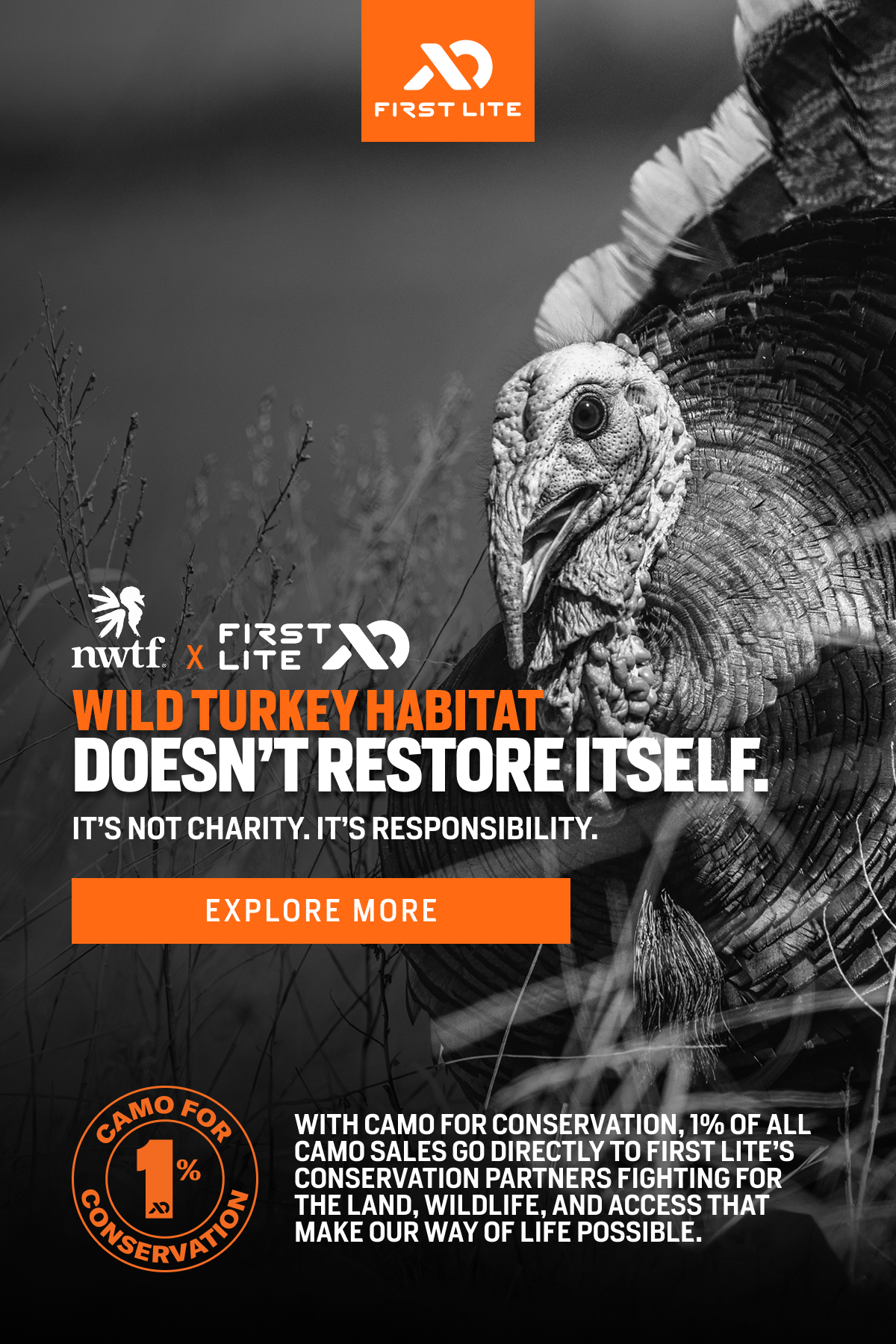 Wild Turkey habitat doesn't restore itself
