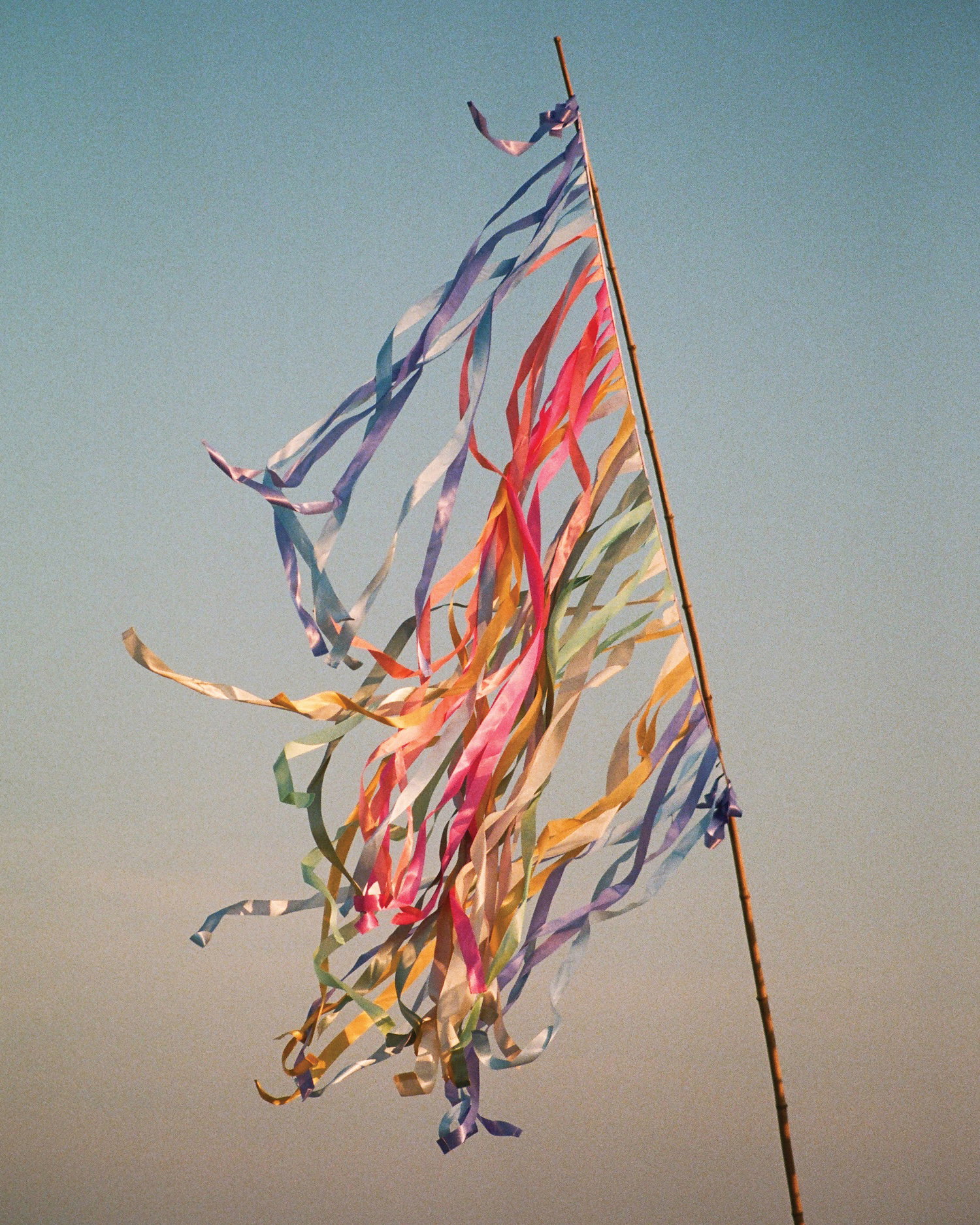 Flag, Fire Island