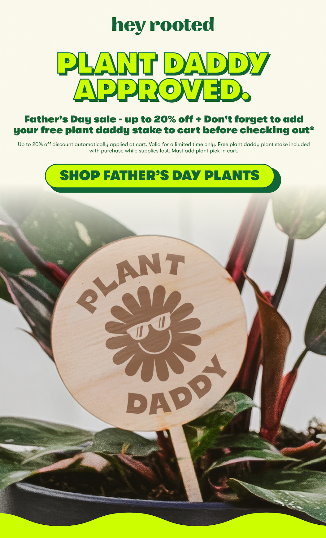 Father's Day Plants up to 20% off