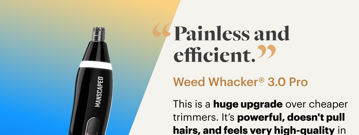 'Painless and efficient.''