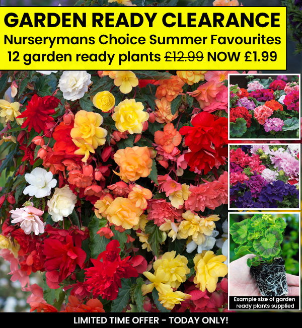 Garden Ready Mix & Match