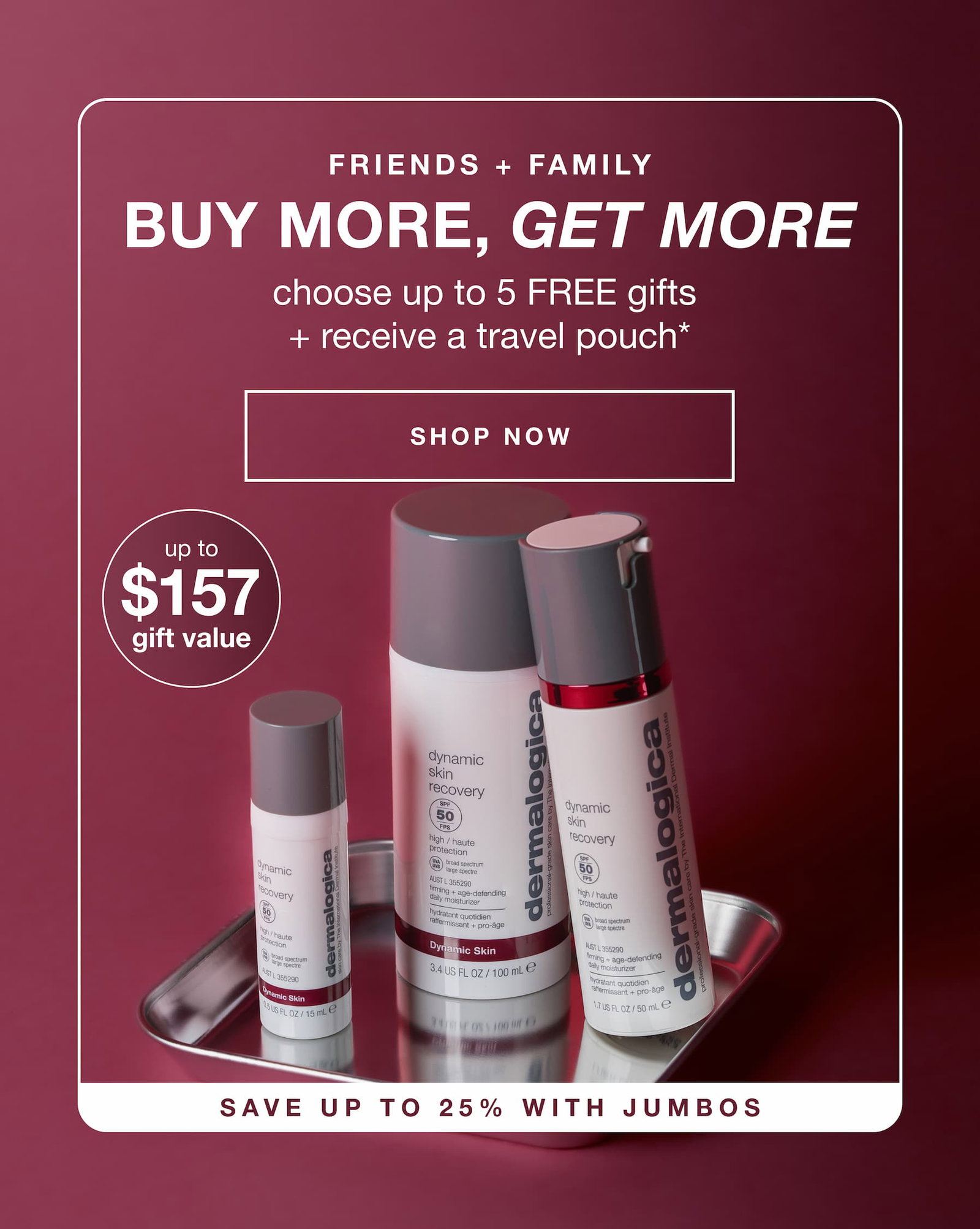 friends + family | buy more, get more | choose up to 5 free gifts + receive a travel pouch*