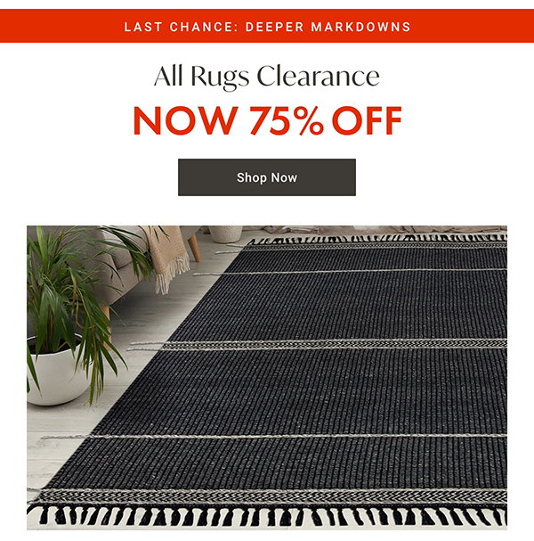 All Rugs Clearance - NOW 75% OFF - Shop Now