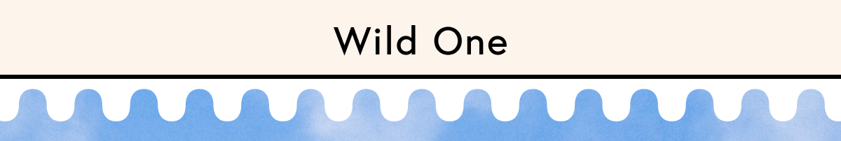 WILD ONE