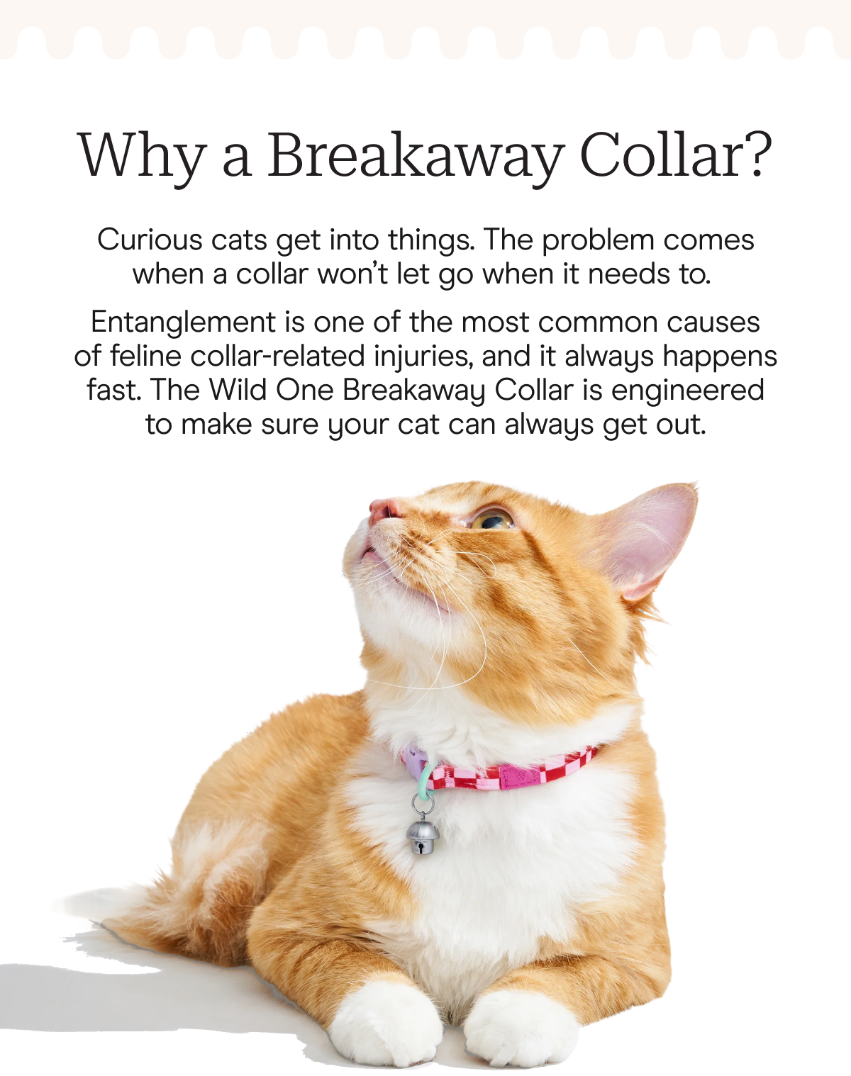 Why a Breakaway Collar?