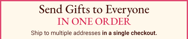 Send Gifts to Everyone IN ONE ORDER! Ship to multiple addresses in a single checkout.