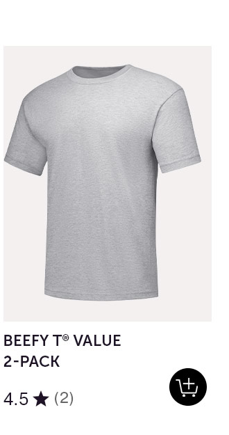 Hanes Beefy-T Men's T-Shirt, Value 2-Pack