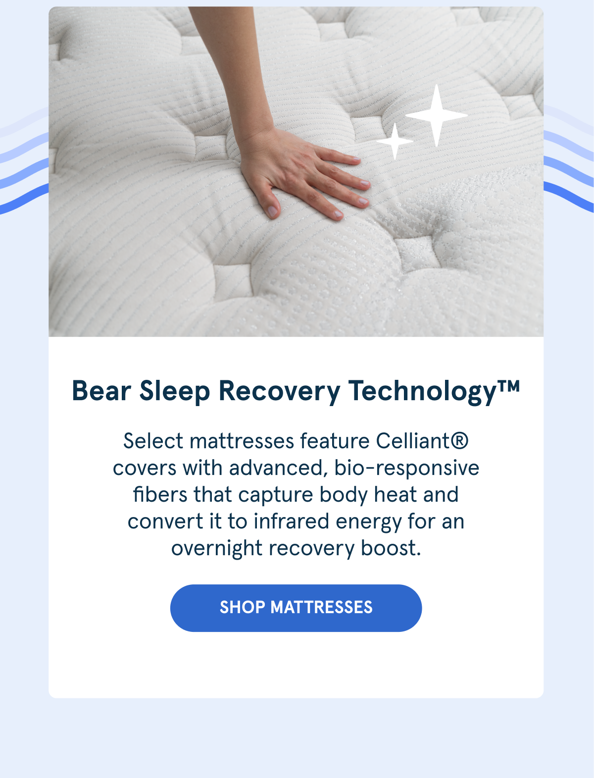 Bear Sleep Recovery Technology