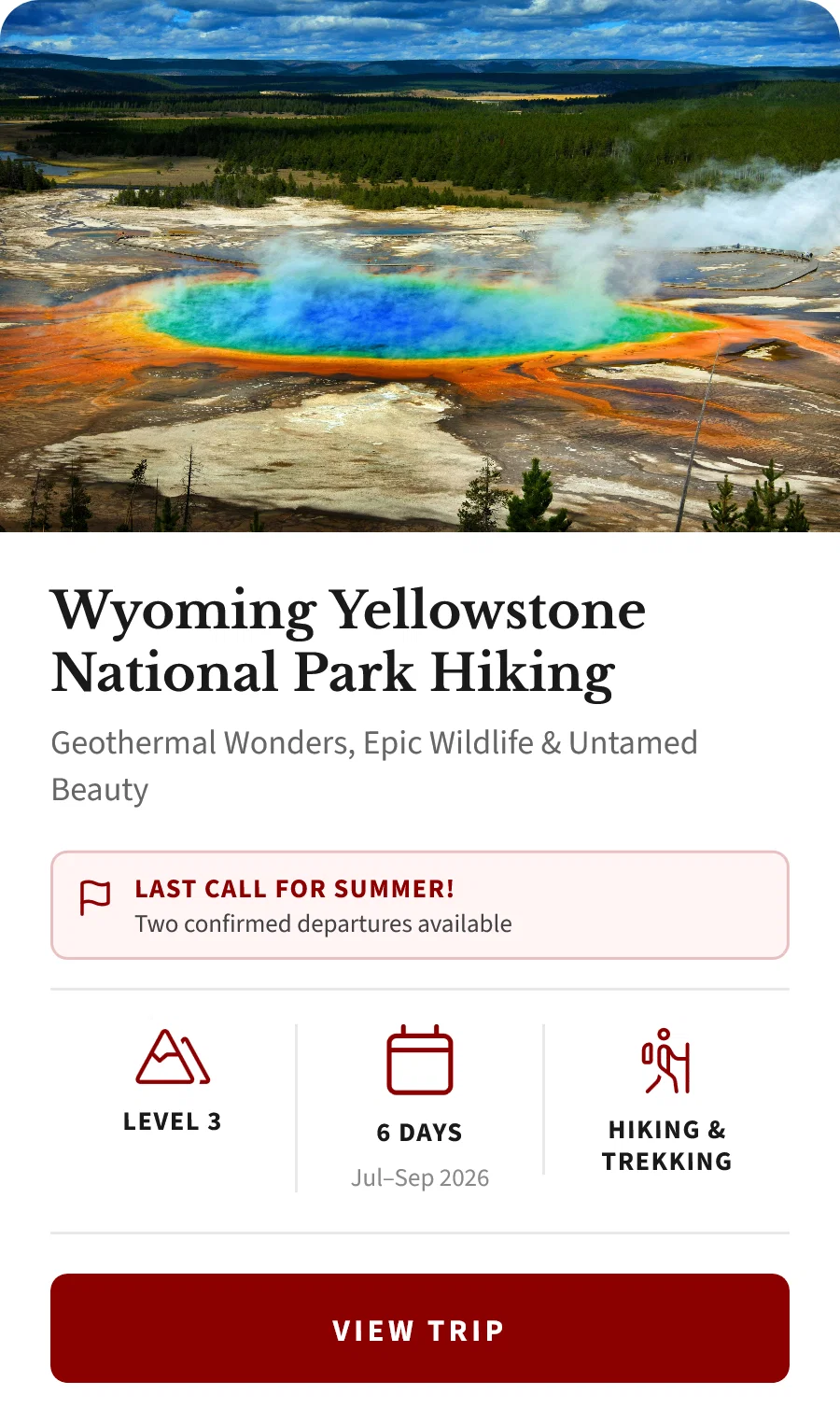 ylh-special-card-2026-06-14