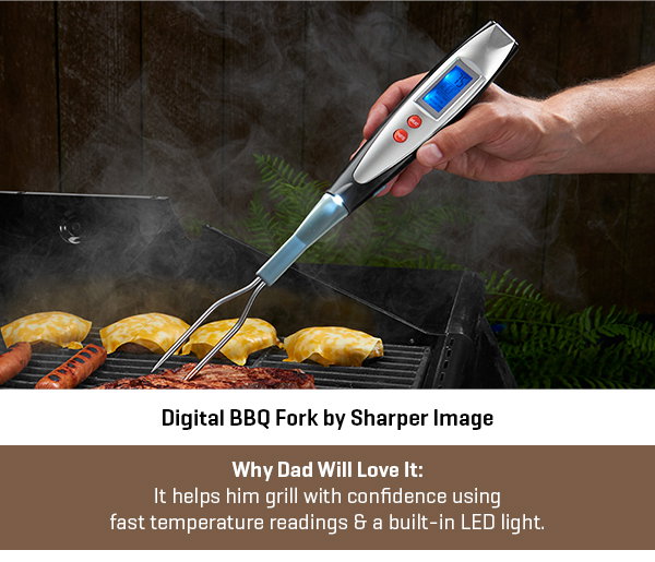 Digital BBQ Fork by Sharper Image