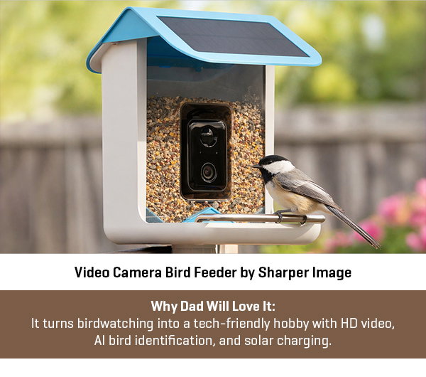 Video Camera Bird Feeder by Sharper Image