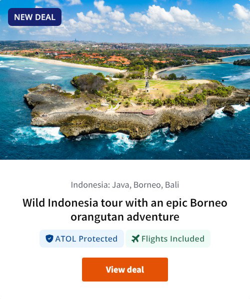 Wild Indonesia tour with an epic Borneo orangutan adventure
