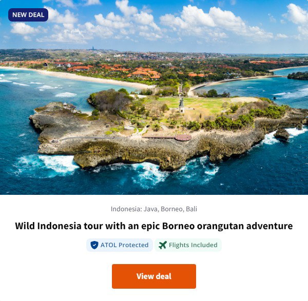 Wild Indonesia tour with an epic Borneo orangutan adventure