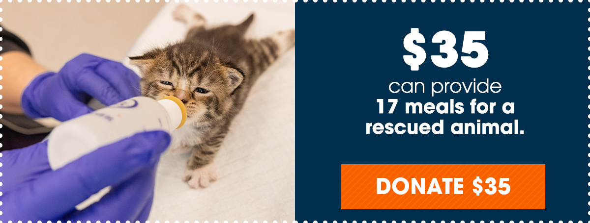 $35 can provide 17 meals for a rescued animal