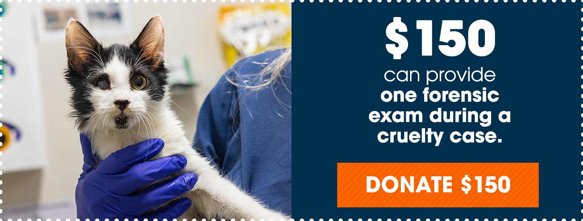 $150 can provide one forensic exam during a cruelty case