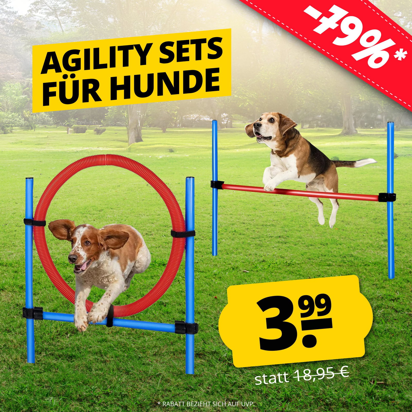 maxxpro Agility Spring Stick - Set Agility für Hunde 