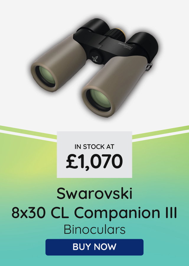 Swarovski 8x30 CL Companion III